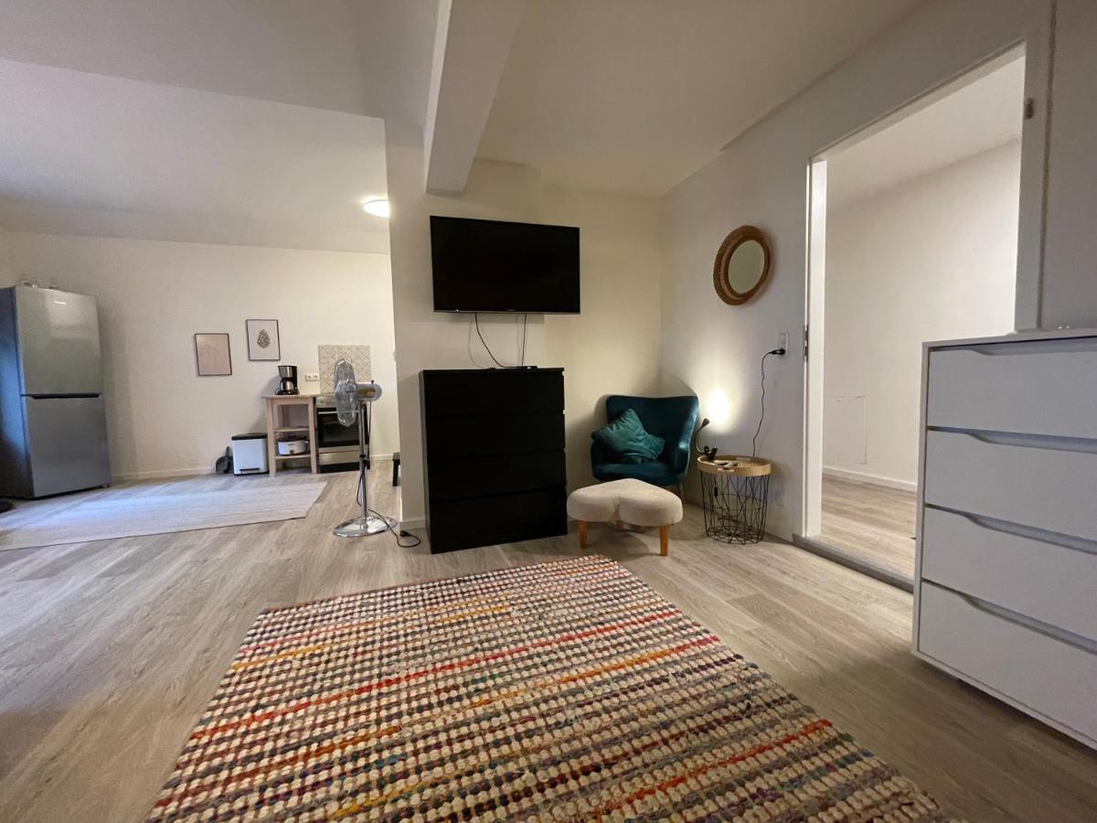 Hinterhaus Apartments ライプツィヒ エクステリア 写真