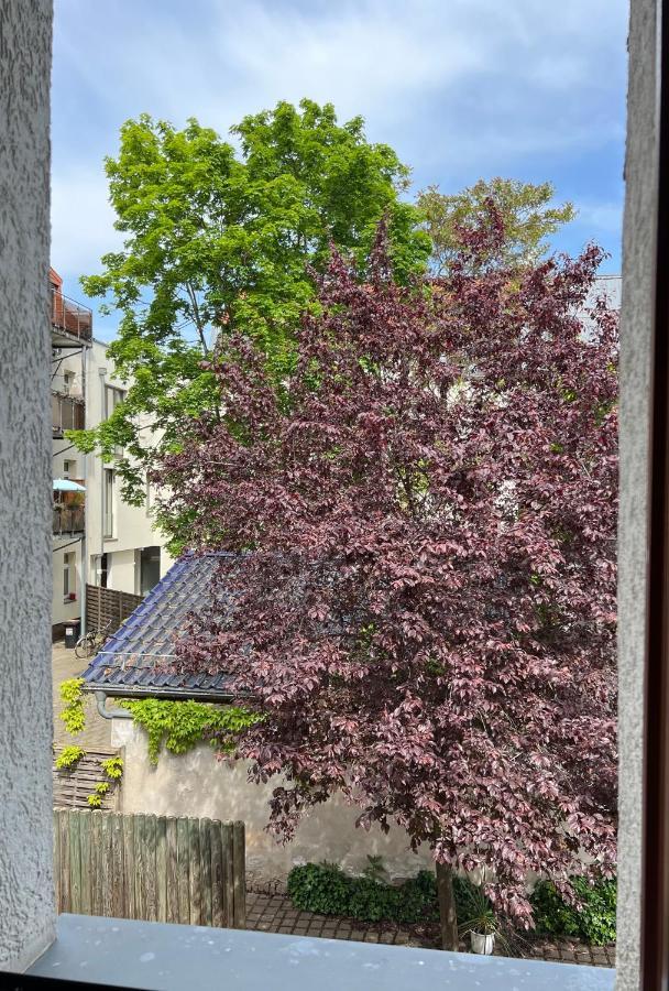 Hinterhaus Apartments ライプツィヒ エクステリア 写真